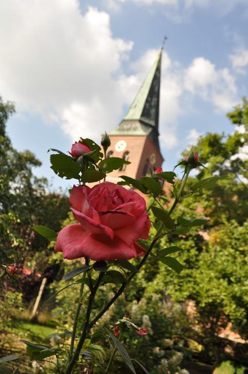 Hotel Cramer Bed & Breakfast Werlte Zewnętrze zdjęcie